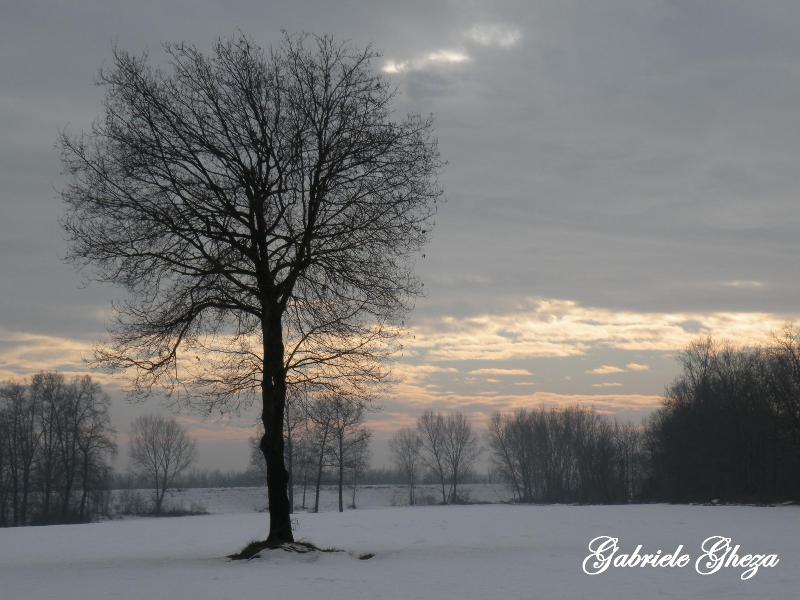 Omaggio all''Inverno che se ne va...